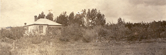 Fernbank Homestead